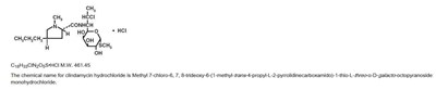 Image Description (Module 1)